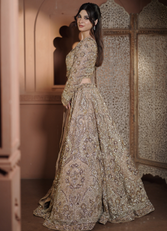 collection-img