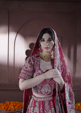 collection-img